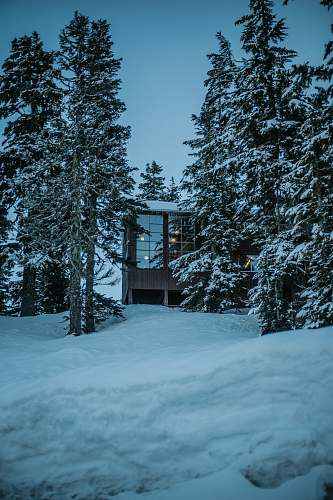 the mountaineers baker lodge house surrounded with trees deming